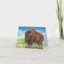 Search for american bison cards Animal