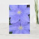 Search for clematis cards Flora