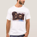 Search for arctic wolf clothing Wildlife