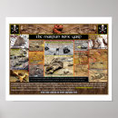 Search for animal skeleton posters Skeletons