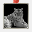 Search for subjects christmas tree decorations Styles