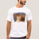 Search for john wilde tshirts Frederick
