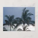 Search for palm beach postcards Blue