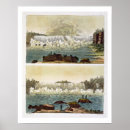 Search for fall colours posters America