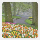 Search for lisse stickers Netherlands