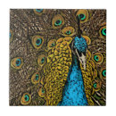 Search for peacock tiles Illustration