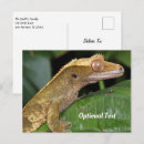 Search for exotic lizard postcards Animal