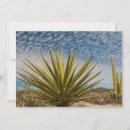Search for judith cards Habitat