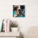 Search for swimming underwater clocks Dog products