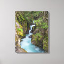Search for howie art Danita delimont