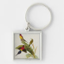 Search for ornithology key rings Colour