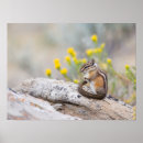 Search for bureau posters Danita delimont