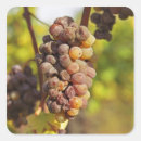 Search for bunches of grapes stickers French