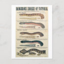 Search for danger postcards Snake