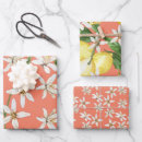 Search for orange blossom wrapping paper Pattern