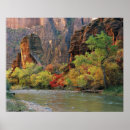 Search for format posters River