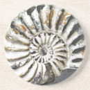 Search for fossil coasters Spiral