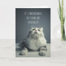 Search for looking up cards Feline
