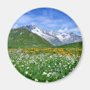 Search for mountainous magnets Landscape