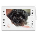 Search for sad dog Birthday