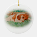 Search for brittany spaniel christmas tree decorations Puppy