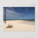 Search for rainforest postcards Beach