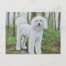 Search for golden doodle postcards Pet