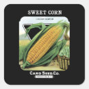Search for corn labels Vintage