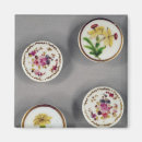 Search for enamel magnets Design