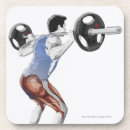 Search for human body part coasters vertical