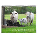 Search for cow calendars Bull