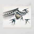 Search for feeding horizontal postcards Young