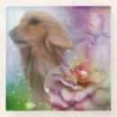 Search for afghans barware Pet