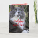 Search for veterinarian jokes Birthday