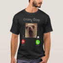 Search for stare Dog