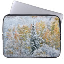Search for aspen mountain electronics Forest