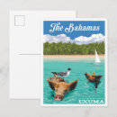 Search for vintage bahamas postcards Watercolor