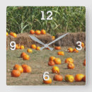 Search for corn clocks Autumn