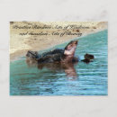 Search for soft postcards Nature