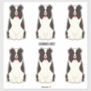 Search for collie border stickers Animals