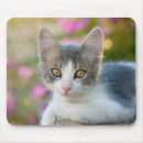 Search for purr mouse mats Funny