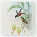 Search for hummingbird art stickers Birds