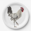 Search for egyptian plates White