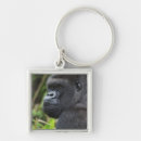 Search for silverback gorilla key rings Wildlife