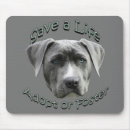 Search for adopt a dog electronics Shelter
