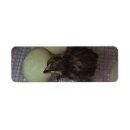 Search for tiny return address labels Pet