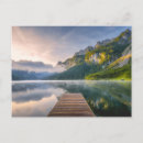 Search for spruce tree postcards Landscape