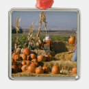 Search for scarecrow christmas tree decorations Autumn