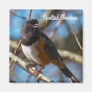 Search for spots magnets Nature