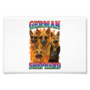 Search for german shepherd photo posters Puppy